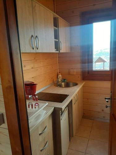 Sat de Vacanta Ciprian Porumbescu