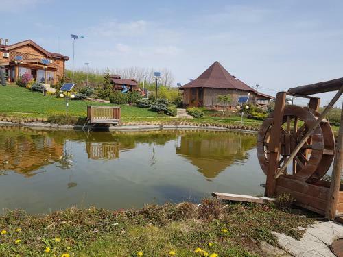 Sat de Vacanta Ciprian Porumbescu