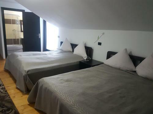 Hostal Pensiunea Silvania