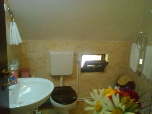 Hostal Pensiunile Zori de Zi Si Apus de Soare