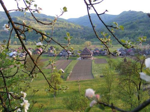 Agroturismo Pensiunea Sanziene