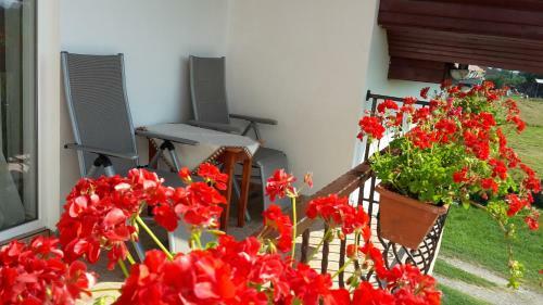 Hostal Vila Ivan
