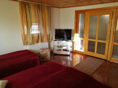 Hostal Pensiunea Diana