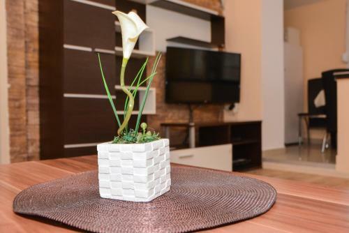 Apartment Ru?a