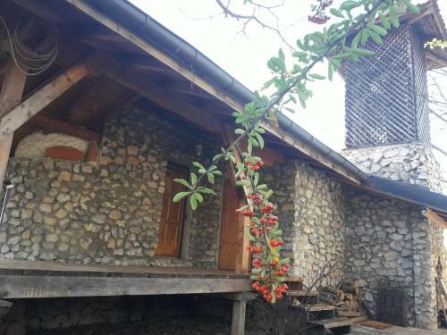 Apartamento The House In The Vineyards