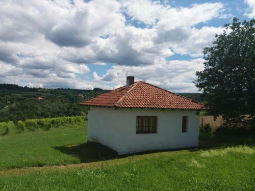 Apartamento The House In The Vineyards