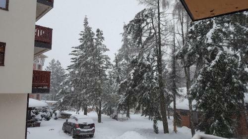 Apartman Aspen
