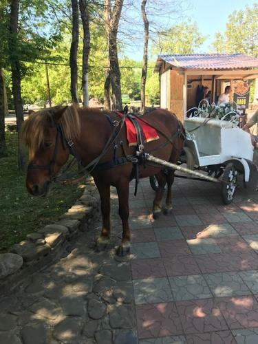 Hotel Stariy Zamok