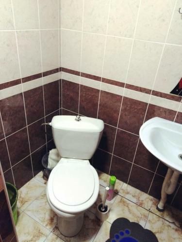 Hostal Guesthouse Viola