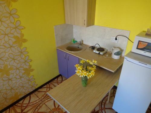 Posada Mini-hotel Shokolad