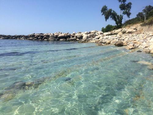 Hostal Guest House Tomichka