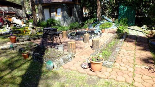 Hostal Guesthouse V Sosnovom Boru