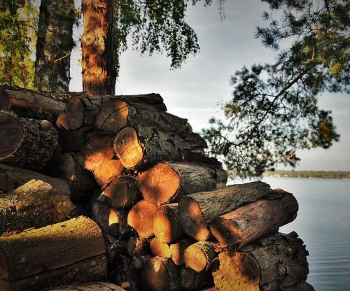 Vacation Home Seliger