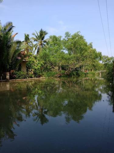 Hotel Young Coconut Garden Home Resort