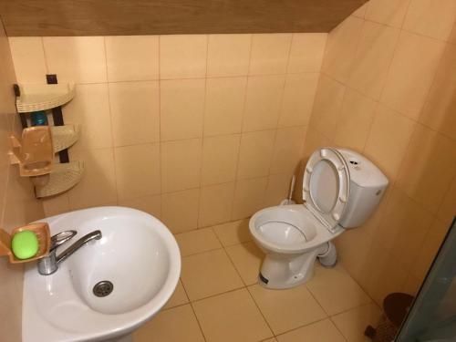 Hostal Shelest Vody