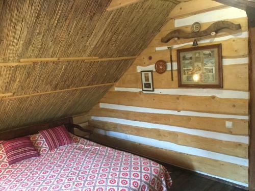 Hostal Salamandra Village