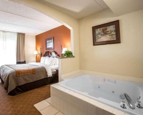 Hotel Comfort Inn & Suites At I-85