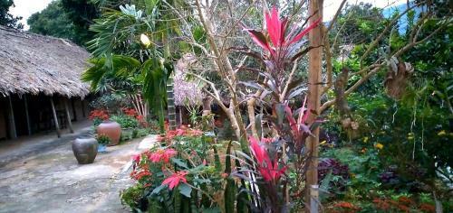 Family Homestay