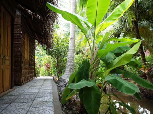 Mini Mekong Homestay In Ben Tre