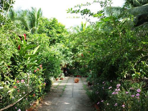 Mini Mekong Homestay In Ben Tre