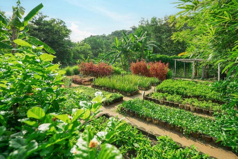 Hotel An Lam Retreats Ninh Van Bay