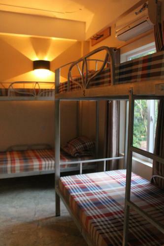 Phong Nha Gecko Hostel