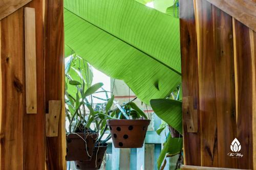 Hotel The May Garden Stay & Cafe