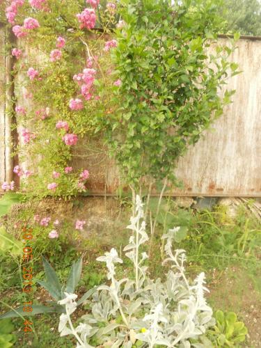 Hostal Guest House Na Myasnikova