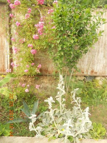 Hostal Guest House Na Myasnikova