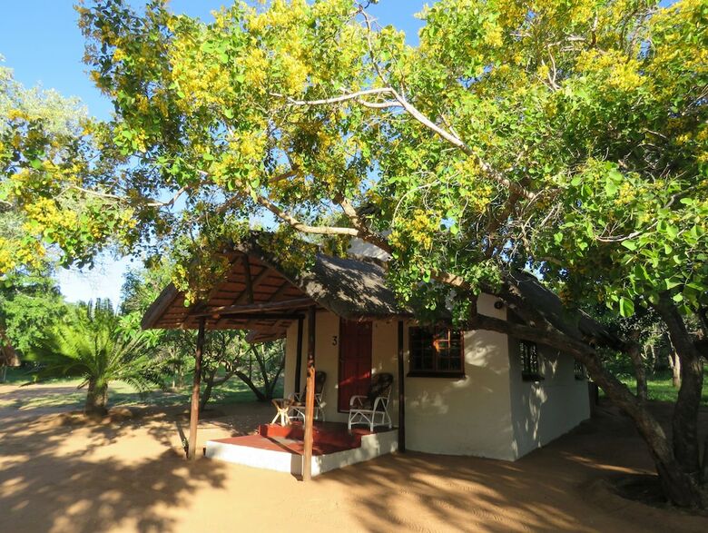 Hotel Wild Dogs Safari Lodge