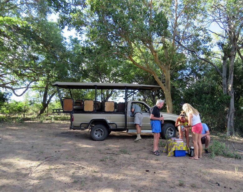 Hotel Wild Dogs Safari Lodge