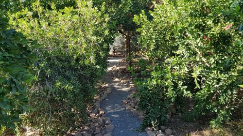 Agroturismo Fynbos Guest Farm