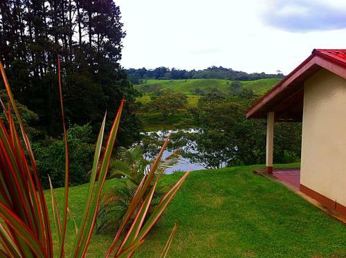Hotel Termales Del Bosque