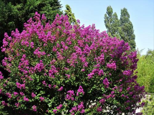 Bed & Breakfast Villa La Clef Des Champs