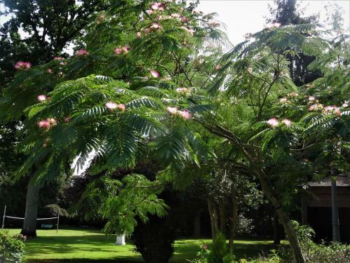 Bed & Breakfast Villa La Clef Des Champs