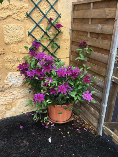 Bed & Breakfast Entre Lot Et Dordogne