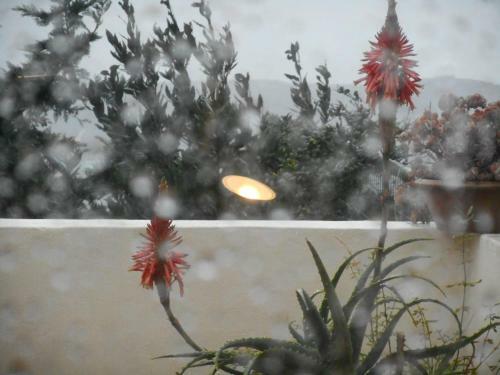 Apartamento Agioklima Traditional Cretan House