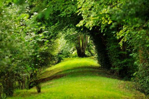Bed & Breakfast Ch�teau de La Chasse-guerre