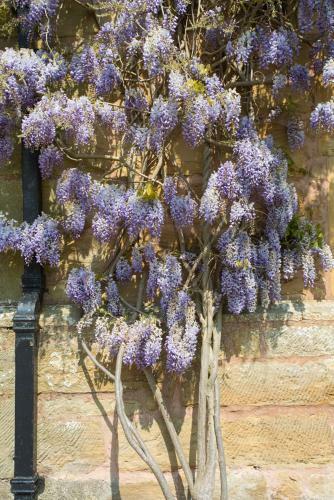 Agroturismo Llong Chateau Sleeps 14 Wifi