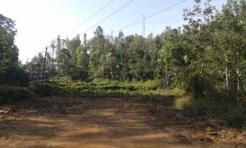 The Misty Guest House In Coorg