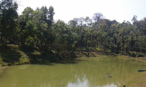 Deluxe Room Stay - Coorg Guest House