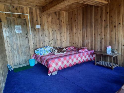 Lodge Hollyhocks