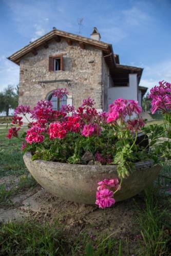 Agroturismo La Collina Degli Ulivi