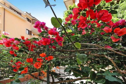 Apartamento Holiday Flat Ladispoli - Ila02361-p