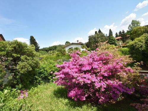 Elegant Villa In Meina With Private Garden
