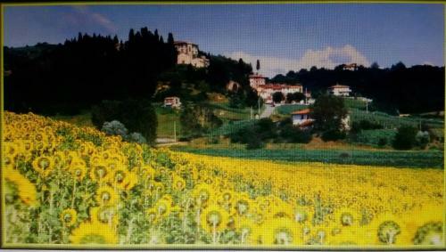 Apartamento Antica Dimora Country Castle Alica