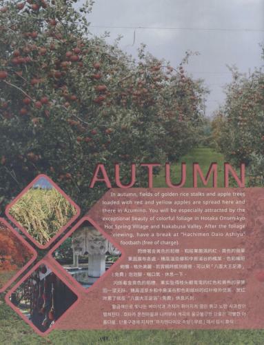 Agroturismo Shino's Farm Inn