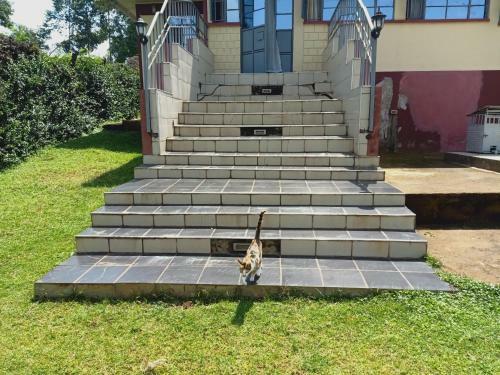 Vihiga County Vip Home