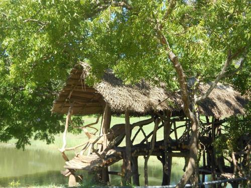 Mama Daisy's Homestay Rekawa.