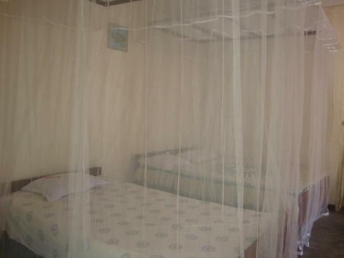 Mama Daisy's Homestay Rekawa.